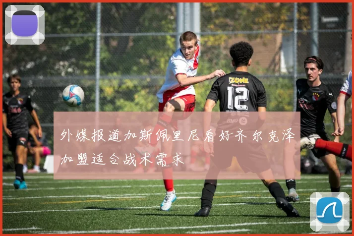 外媒报道加斯佩里尼看好齐尔克泽加盟适合战术需求