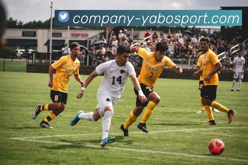 App Interface Preview